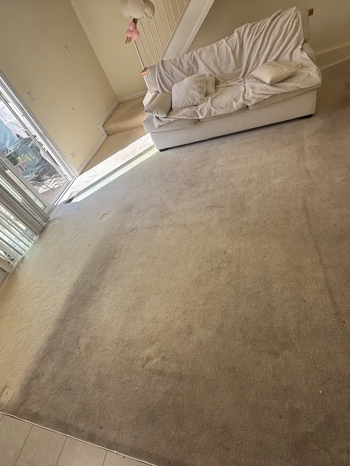 Living-room carpet with dark traffic lanes before cleaning