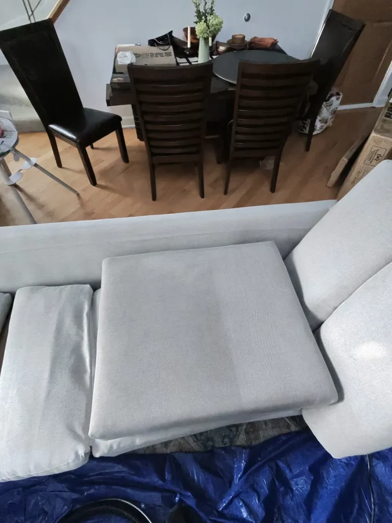 Sofa cushion & dining chairs