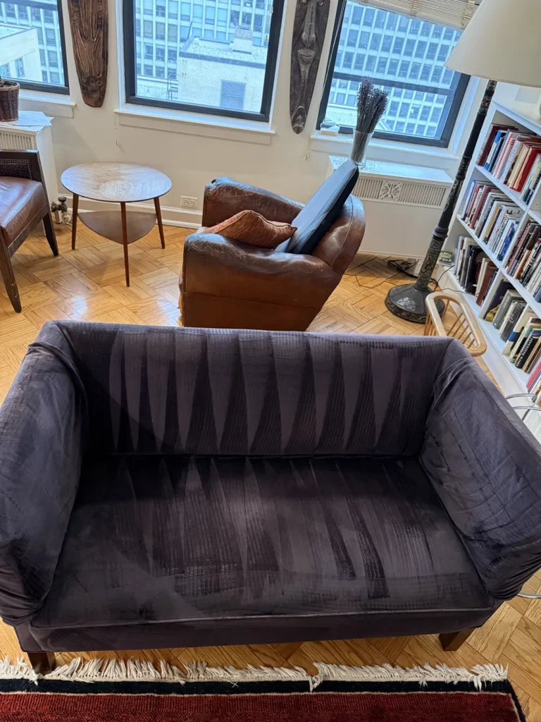 Velvet sofa — fresh cleaning lines on the pile