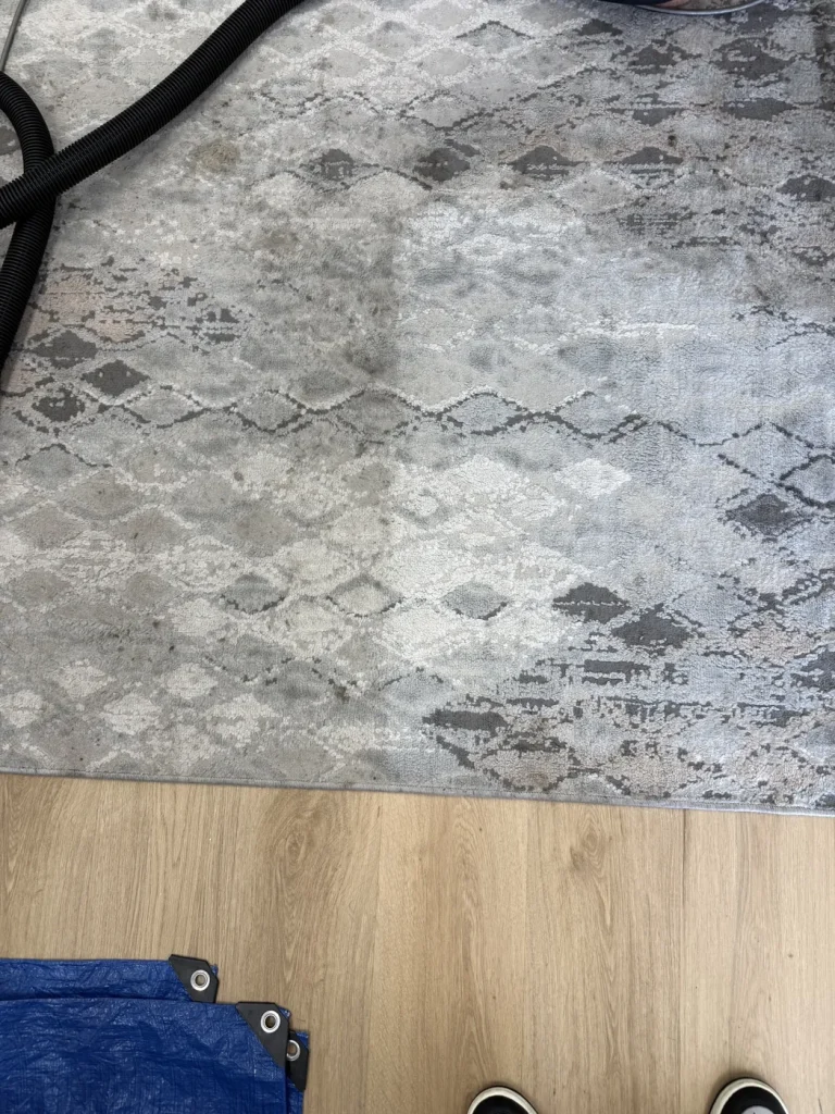 Area rug — cleaned half vs. soiled half